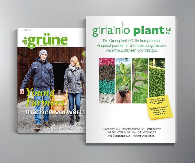 Anzeige, Granoplant AG, Online-Banner, Online-Werbemittel, Life of Pi, Twentieth Century Fox Home Entertainment, Design, Gestaltung, ABC creativ service, Andrea Bürgin,