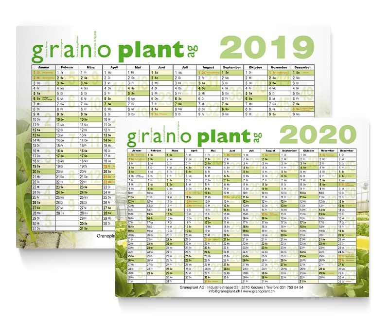 Kalender, Granoplant AG, Online-Banner, Online-Werbemittel, Life of Pi, Twentieth Century Fox Home Entertainment, Design, Gestaltung, ABC creativ service, Andrea Bürgin,