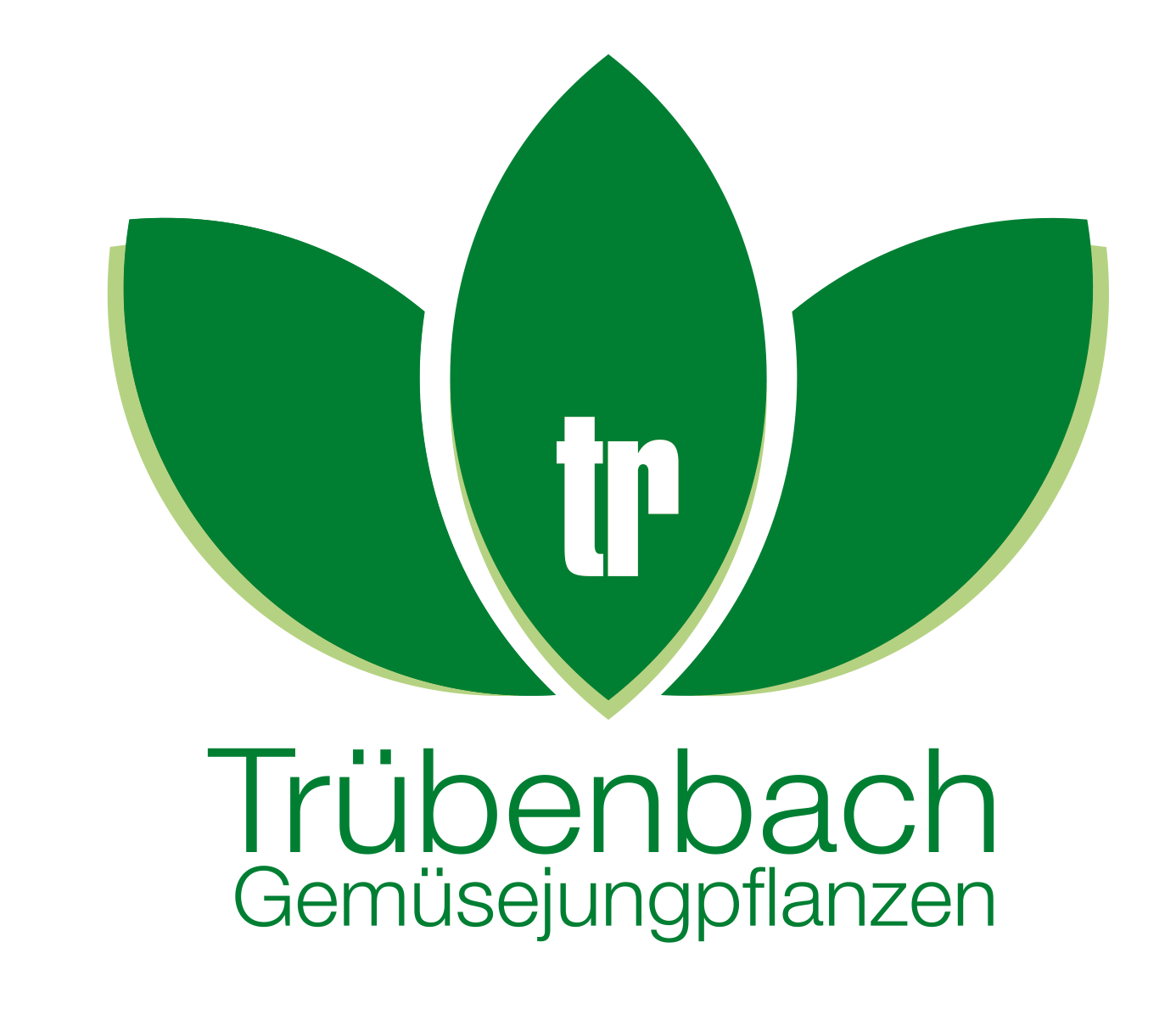 Trübenbach Gemüsejungpflanzen, Webdesign, Flyer, Katalog, Corporate Design, Logo-Design, Fahnen, Autobeschriftung, Poster, Design, ABC creativ service, Andrea Bürgin