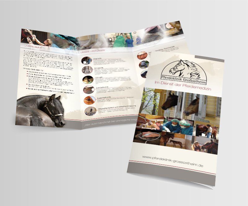 Pferdeklinik Großostheim, Dr. Christian Bingold, Flyer, Broschüre, Gestaltung, Design, ABC creativ service, Andrea Bürgin