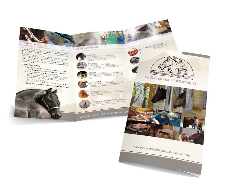 Broschüre Pferdeklinik Großostheim
