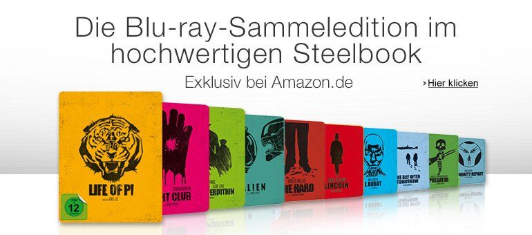 Online-Banner, Online-Werbemittel, Life of Pi, Twentieth Century Fox Home Entertainment, Design, Gestaltung, ABC creativ service, Andrea Bürgin,