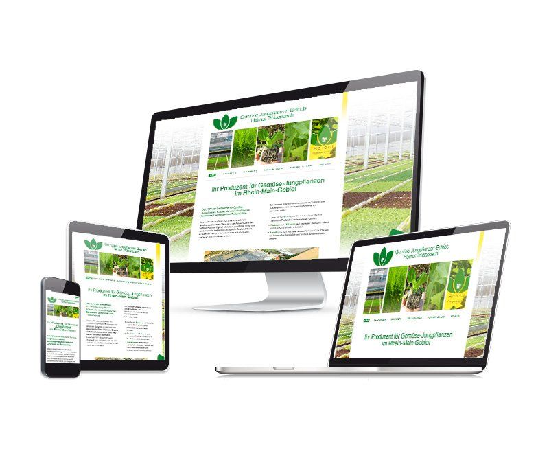 Homepage, Website, Trübenbach Jungpflanzen, Design, Gestaltung, ABC creativ service, Andrea Bürgin,