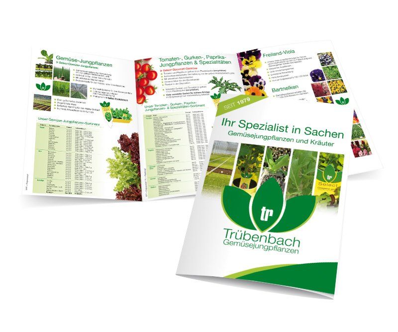 Imagebroschüre, Trübenbach Gemüsejungpflanzen, Design, Gestaltung, ABC creativ service, Andrea Bürgin,