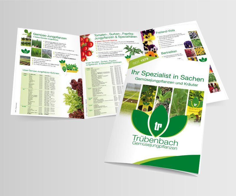 trübenbach gemüsejungpflanzen, image-broschüre, flyer-gestaltung, flyer-design, andrea bürgin, abc creativ service, seeheim-jugenheim,