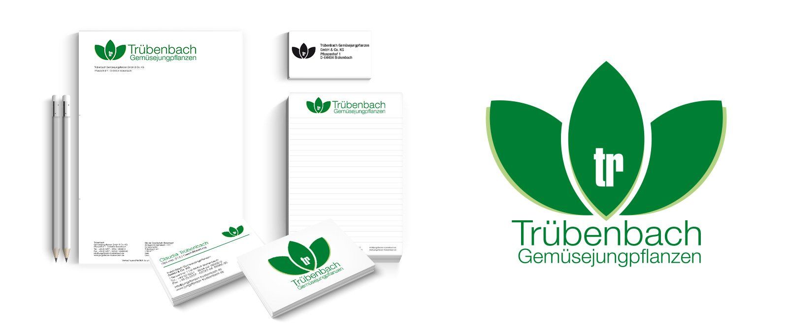 Corporate Design, Logo-Design, Visitenkarten, Briefpapier, Geschäftsausstattung