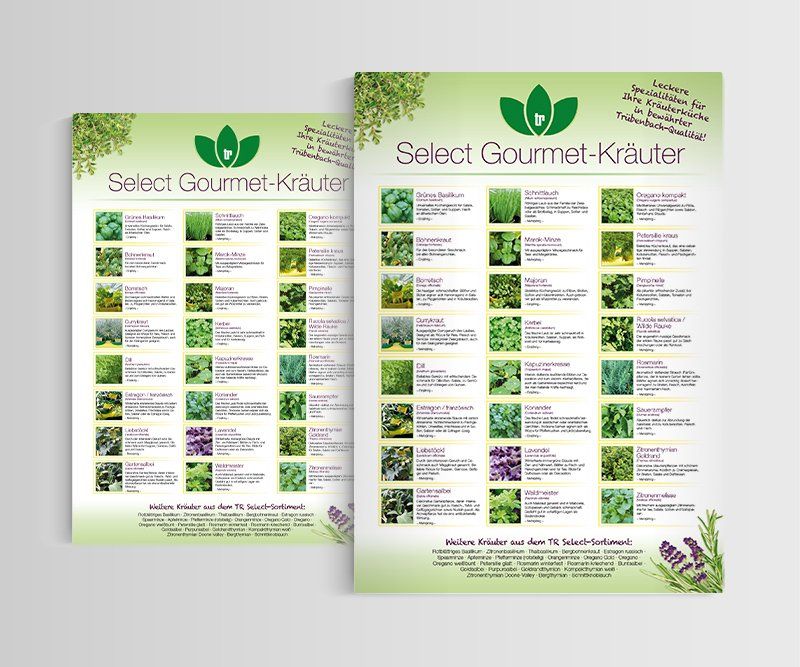 Poster, Plakate, Trübenbach Gemüsejungpflanzen, Design, Gestaltung, ABC creativ service, Andrea Bürgin,