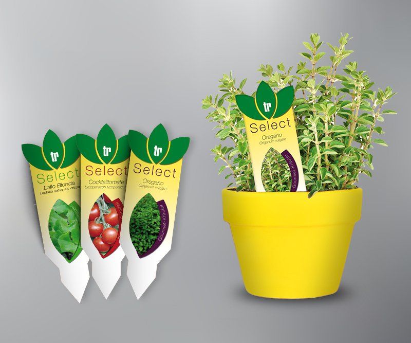 TR Select Produktlinie, Markenauftritt, Etiketten, Trübenbach Gemüsejungpflanzen, Design, Gestaltung, ABC creativ service, Andrea Bürgin,