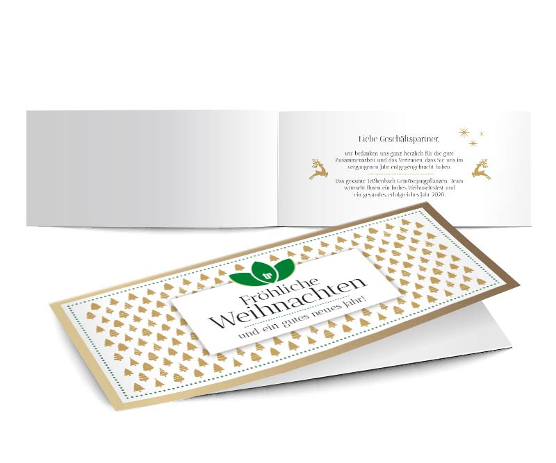 flyer, Poster, Plakate, Trübenbach Gemüsejungpflanzen, Design, Gestaltung, ABC creativ service, Andrea Bürgin,