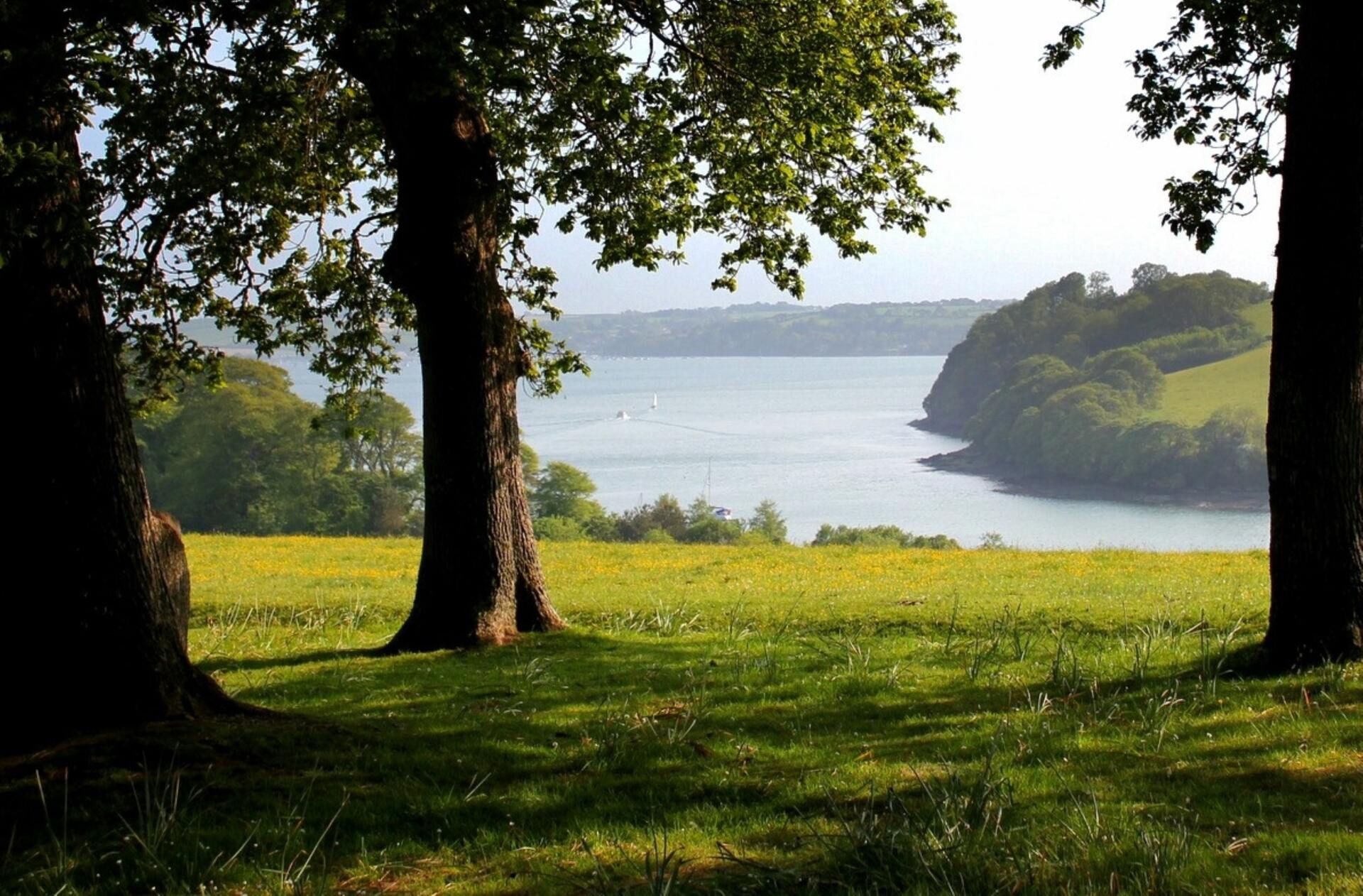View of river meandering through a country estate with large tree in foreground. Representing Estate Planning