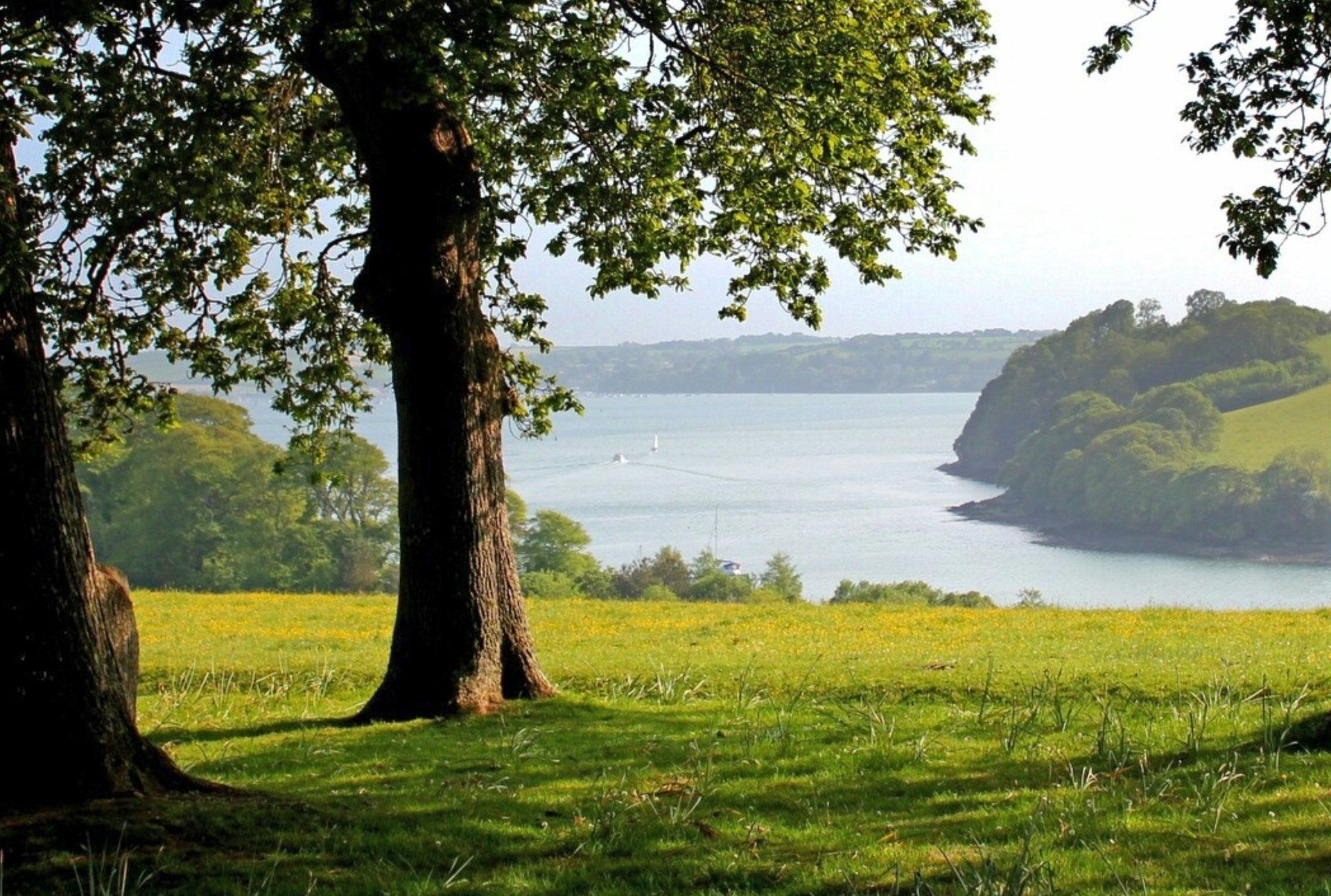 View of river meandering through a country estate with large tree in foreground. Representing Estate Planning