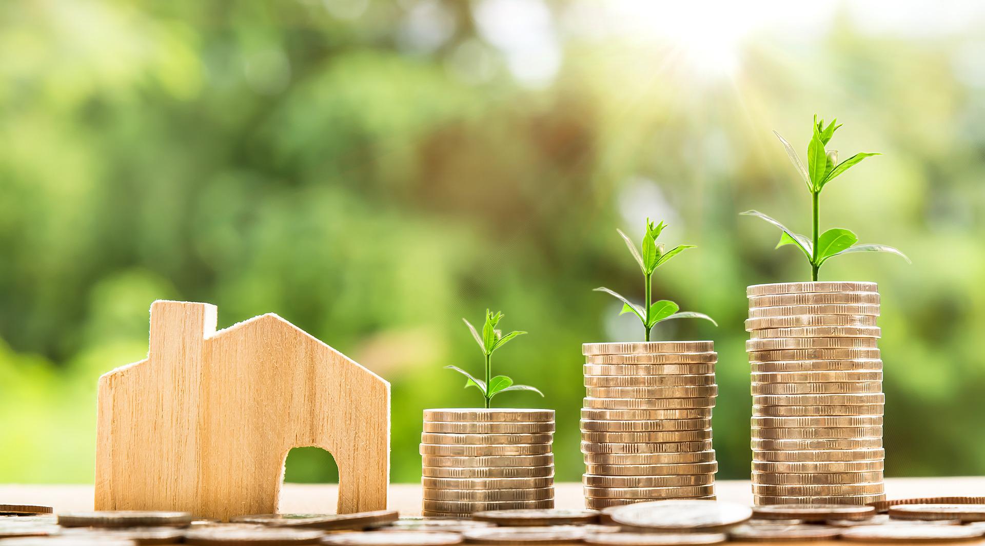 Money, wooden house and piles of coins with green plants growing, representing assets in Trust