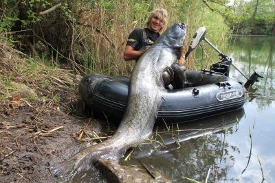 Waller gedrillt mit Floh 180 Stefan Seuß mission-craft Floh 180 Boot mit Wallerfang