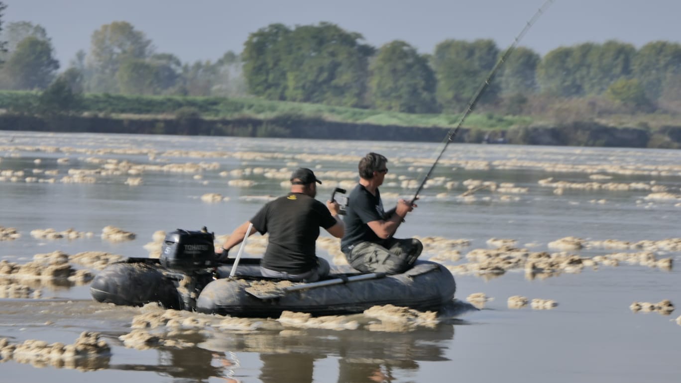 Angeleinsatz Erlkönig Grizzly Modell