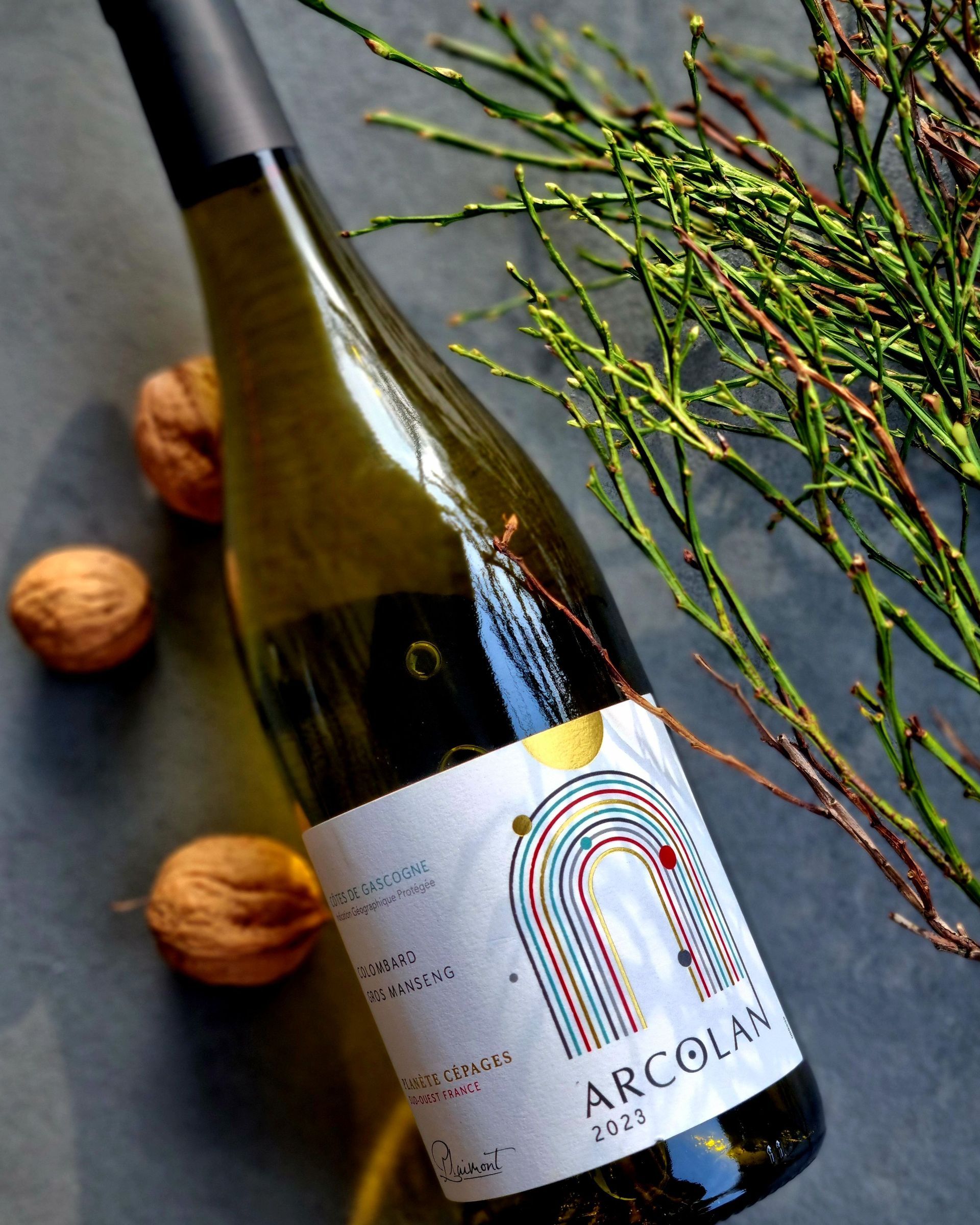 Arcolan Colombard - Gros Manseng