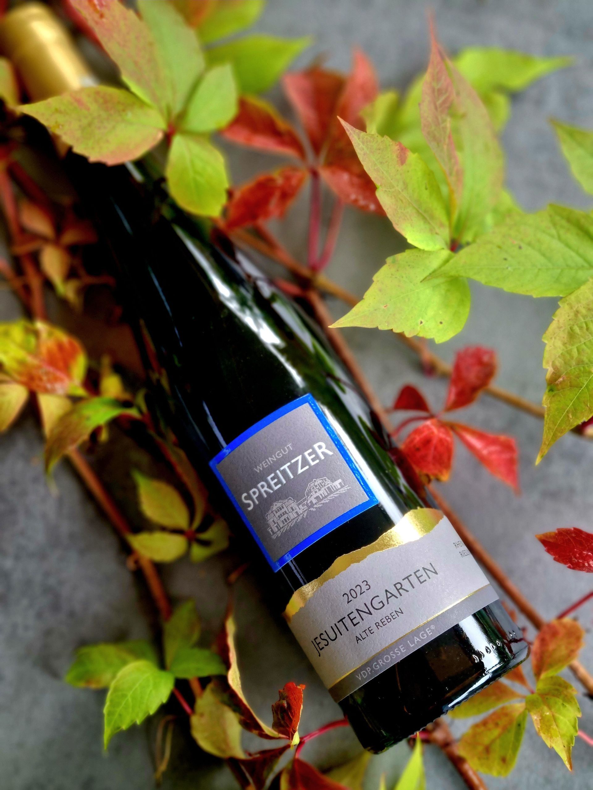 Jesuitengarten Weingut Spreizer