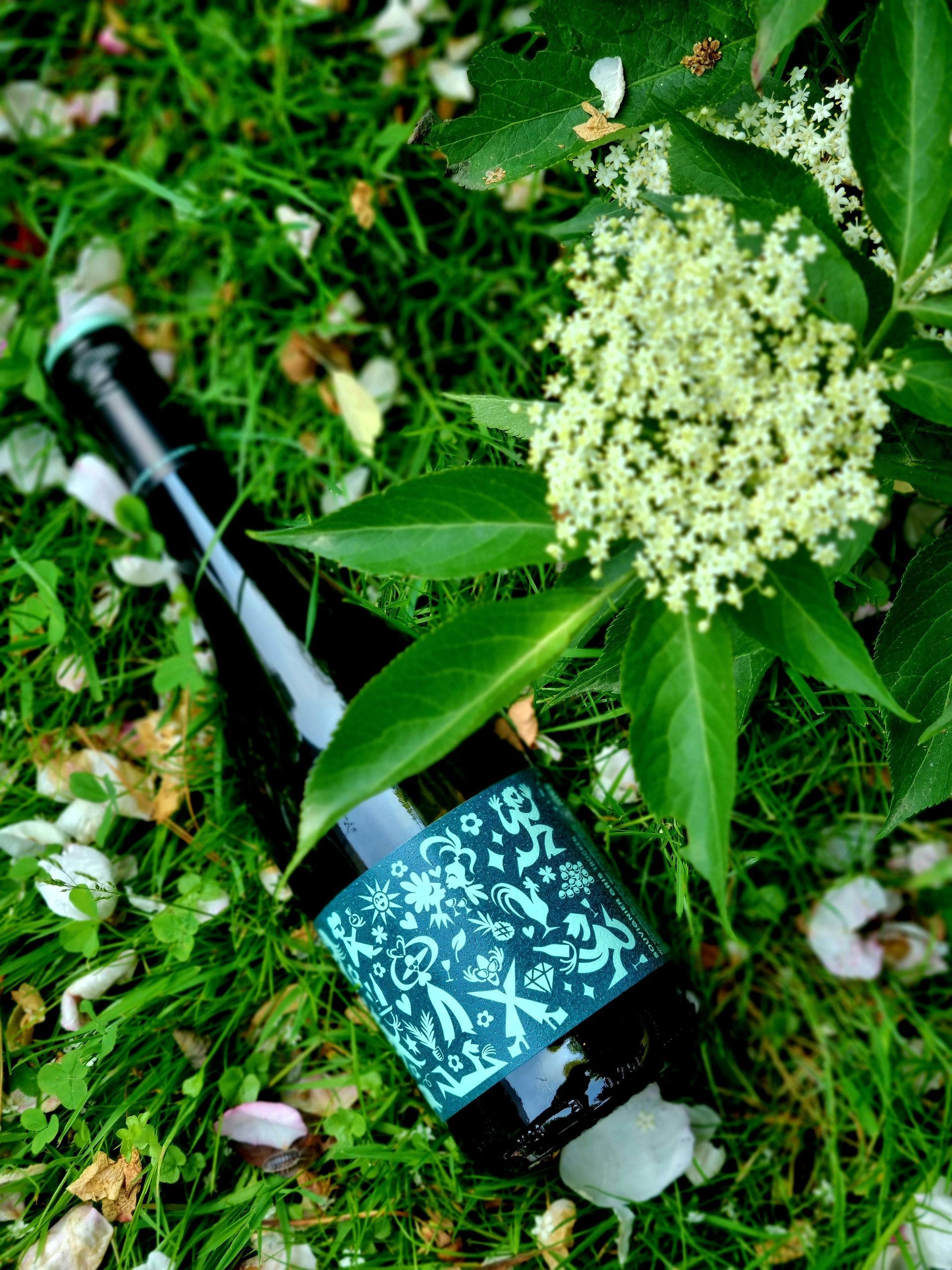 Nou Souvgnier Gris