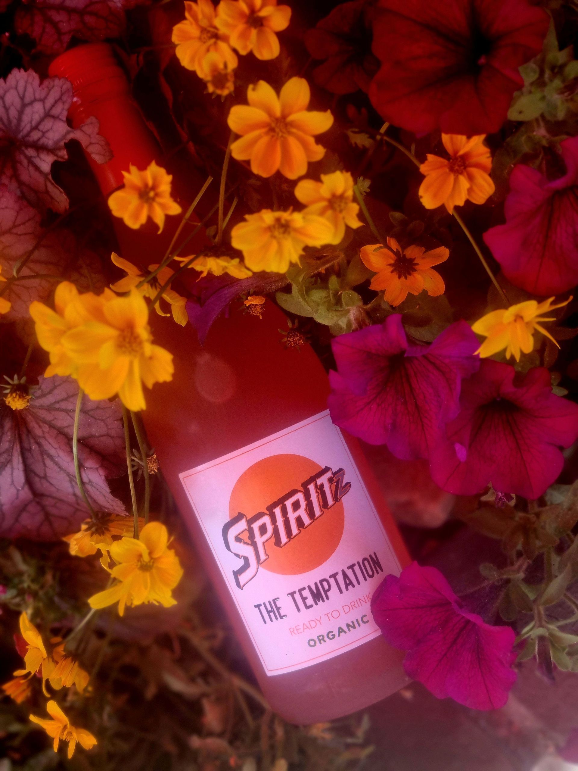 Spiritz - der spanische Spritz fertig gemixt