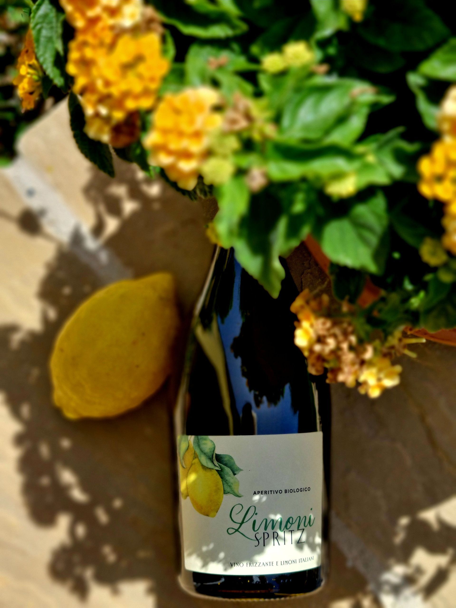 Vino Frizzante e Limoni