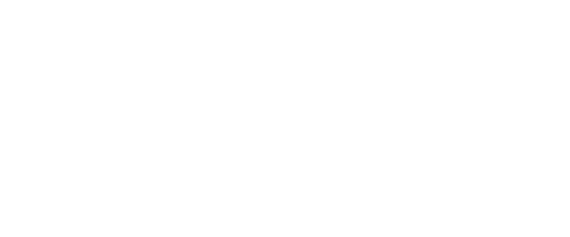 Zyxel Networks ZCNE