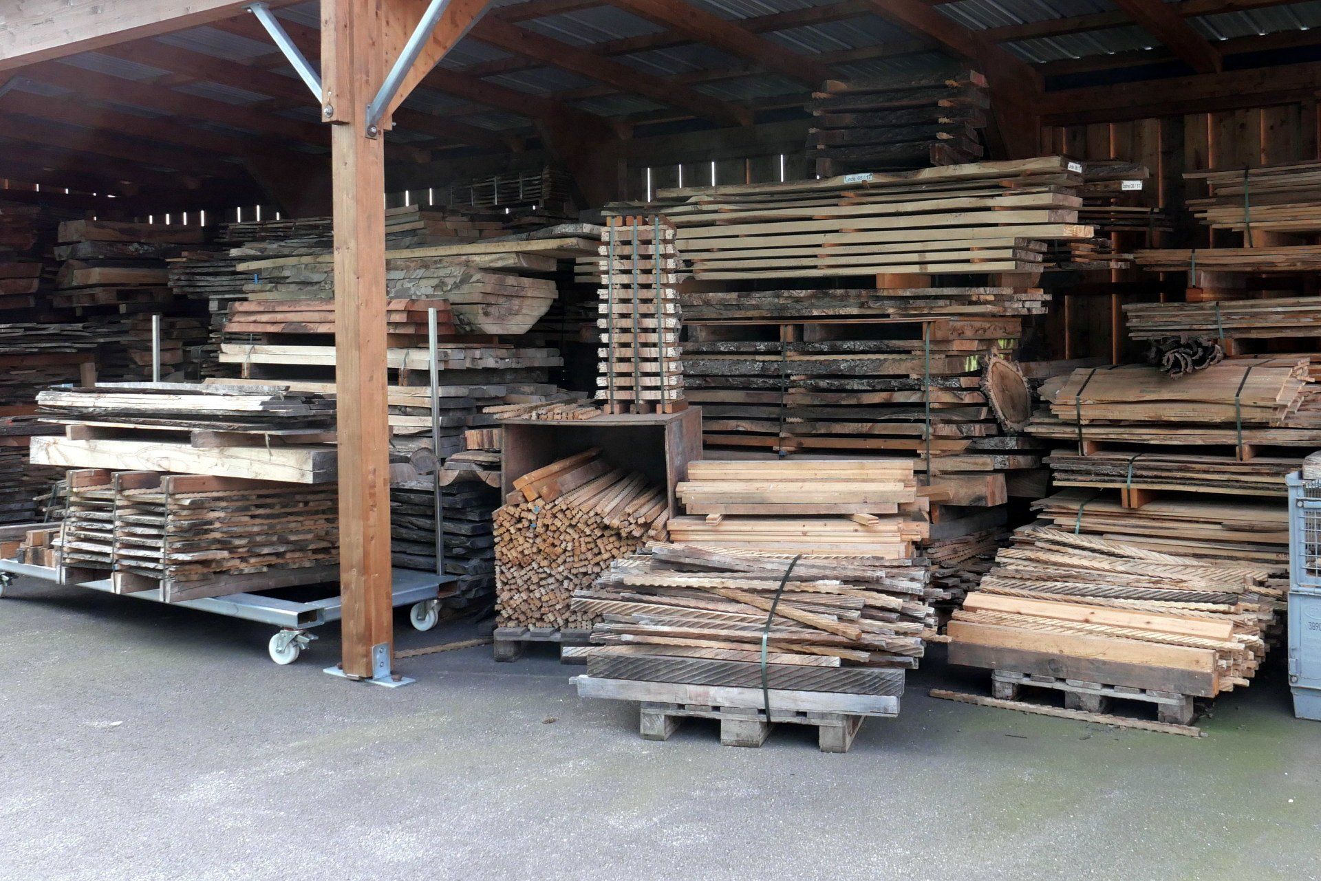 Holzlager, Holzlehrsammlung, Holzmusterbrettchen, Holzsammlung, Holz erkennen, Xylarium heimischer Hölzer, Holzwissen, Holz bestimmen, Holzmustersammlung Mustersammlung Holz, Drechseln, wie erkenne ich Holz, Holzverarbeitung, Holzbestimmung anhand der Poren im Hirnholz