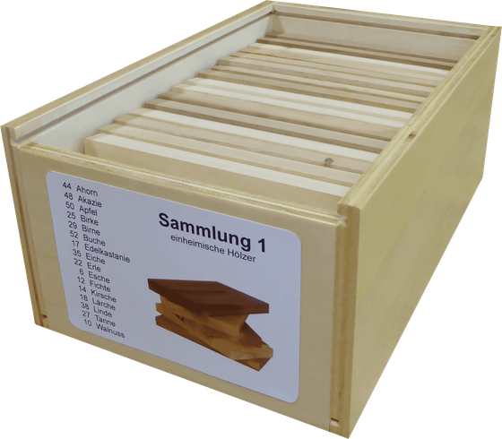 Holzsammlung eins von drei Holzsammlung 1 - Musterholz einheimische Hölzer