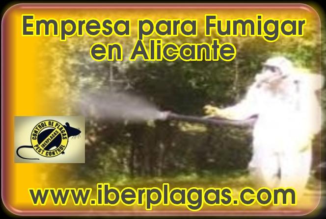 Empresa para fumigar en Alicante