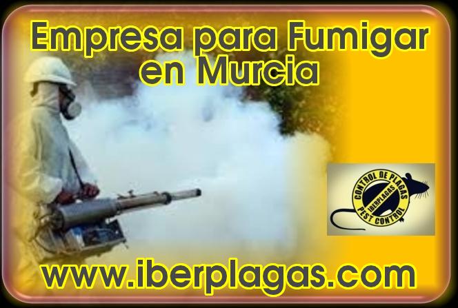 Empresa para Fumigar en Murcia