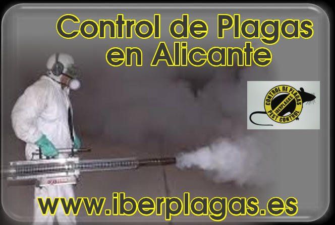 Control de plagas en Alicante