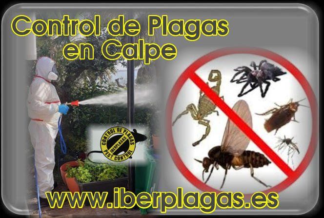 Control de Plagas en Calpe