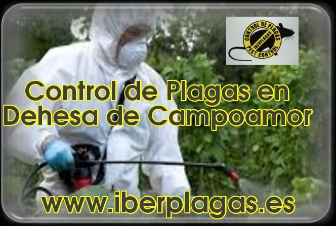 Control de plagas en Dehesa de Campoamor