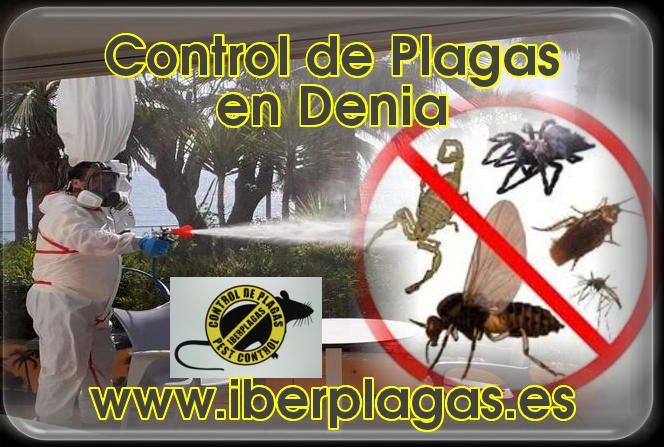Control de Plagas en Denia