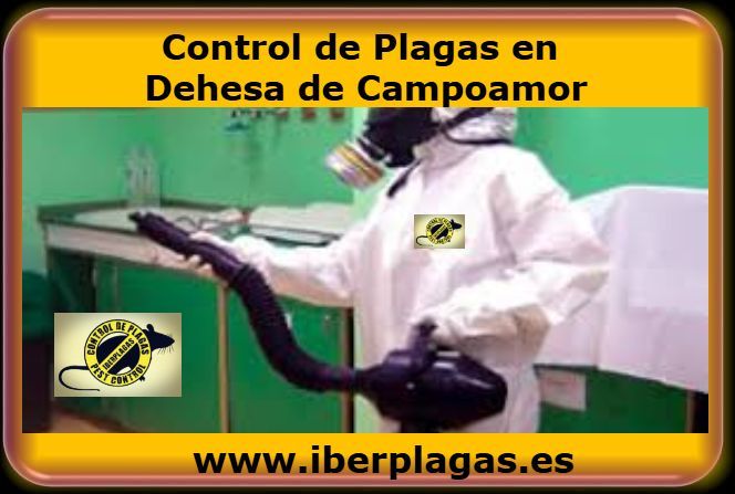 Control de plagas en Dehesa de Campoamor