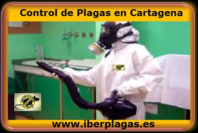 Control de plagas en Cartagena
