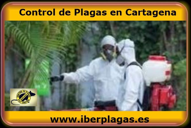 Control de Plagas en Cartagena