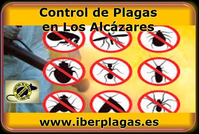 Control de plagas en Los Alcázares