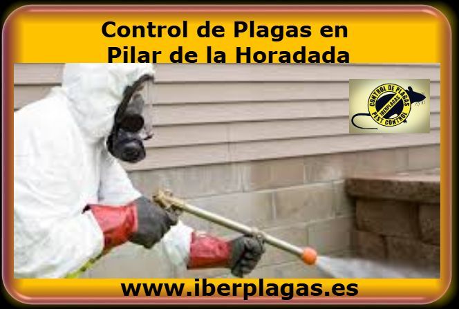 Control de Plagas en Pilar de la Horadada