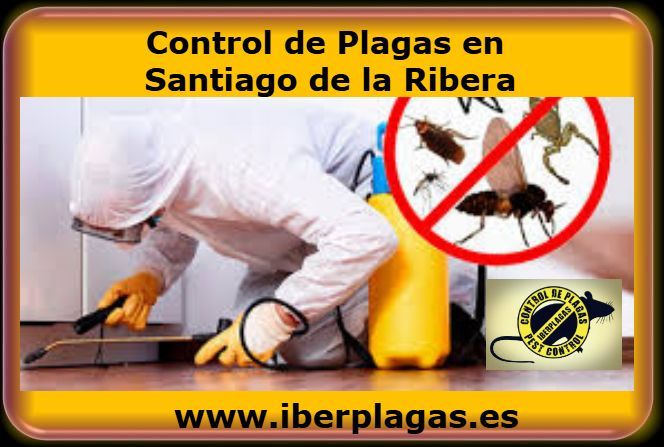 Control de plagas en Santiago de la Ribera