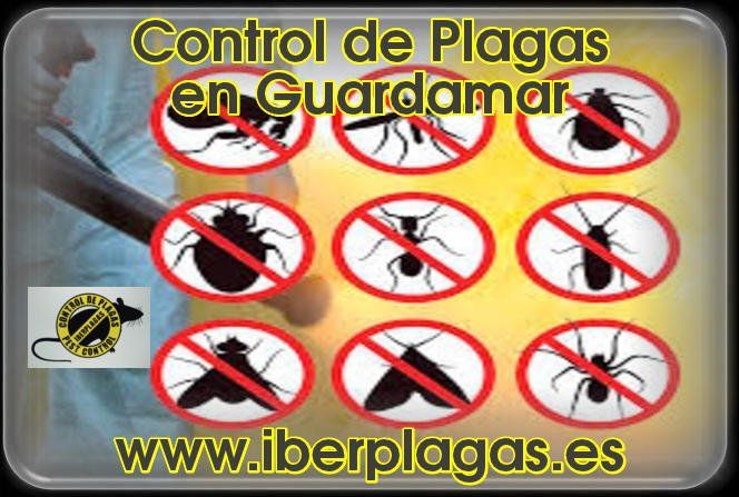 Control de Plagas en Guardamar