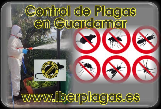 Control de Plagas en Guardamar