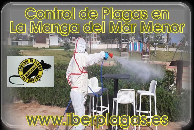 Control de plagas en La Manga del Mar Menor