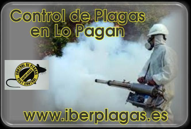 Control de plagas en Lo Pagan