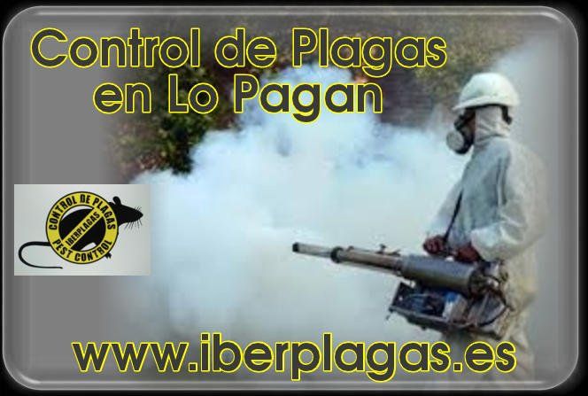 Control de Plagas en Lo pagan