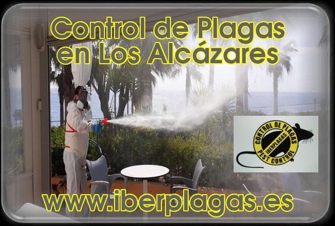 Control de Plagas en Los Alcázares