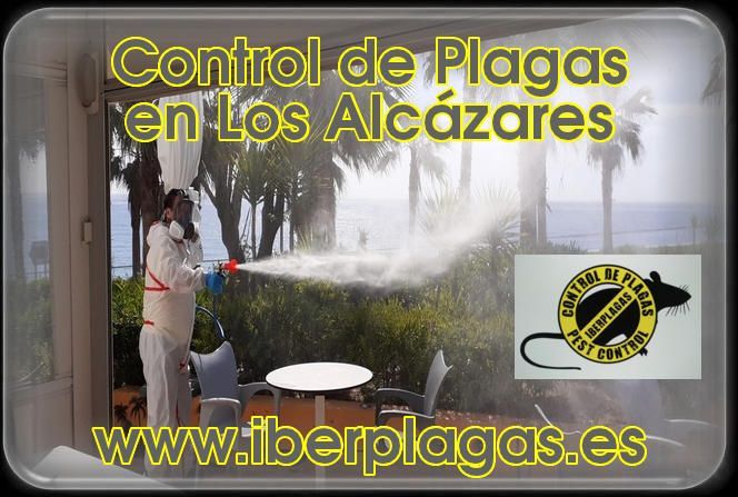 Control de plagas en Los Alcázares