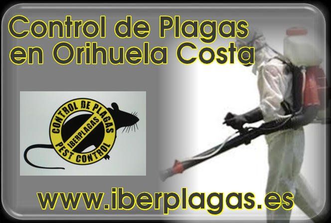 Control de plagas en Orihuela Costa