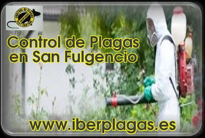 Control de Plagas en San Fulgencio