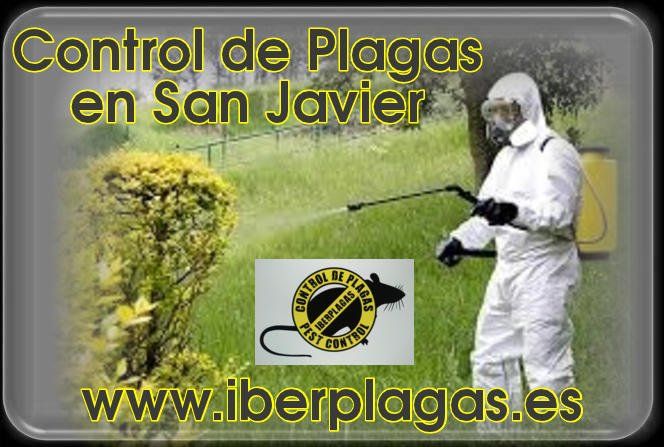 Control de Plagas en San Javier