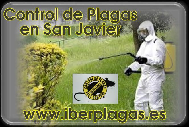 Control de plagas en San Javier