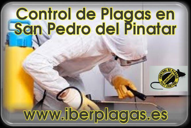 Control de Plagas en San Pedro del Pinatar
